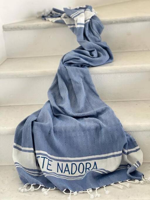White Nadora Naxos Villa Agia Anna  Exterior photo